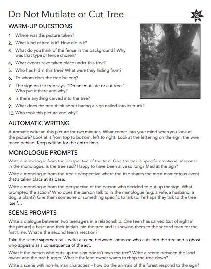 Scene Spur Tree Activities 